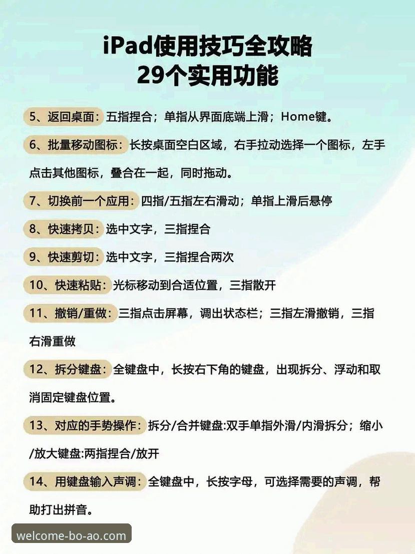 博澳体育平台最新动态：新手用户必备的完整使用指南与下载攻略